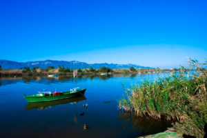 Albufera y entorno natural